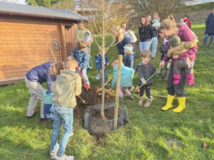 copyright: Markus Bollen
